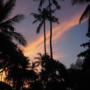 The image shows a beautiful sunset with tall palm trees silhouetted against a vibrant sky. The colors are stunning, with shades of pink, orange, and purple blending together. The palm trees create a sense of peace and tranquility, and the overall image is very relaxing
