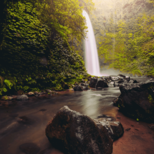 A majestic waterfall cascades down a rocky cliff face into a lush green pool, surrounded by tropical rainforest. Sunlight filters through the dense foliage, casting a warm glow on the scene