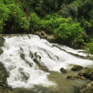 Small waterfall cascading over rocks surrounded by lush green vegetation in a tropical forest, with two monkeys climbing on the rocks near the water