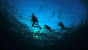 Night Diving