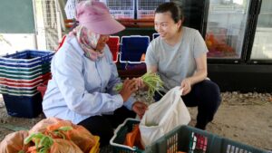 Local Markets
